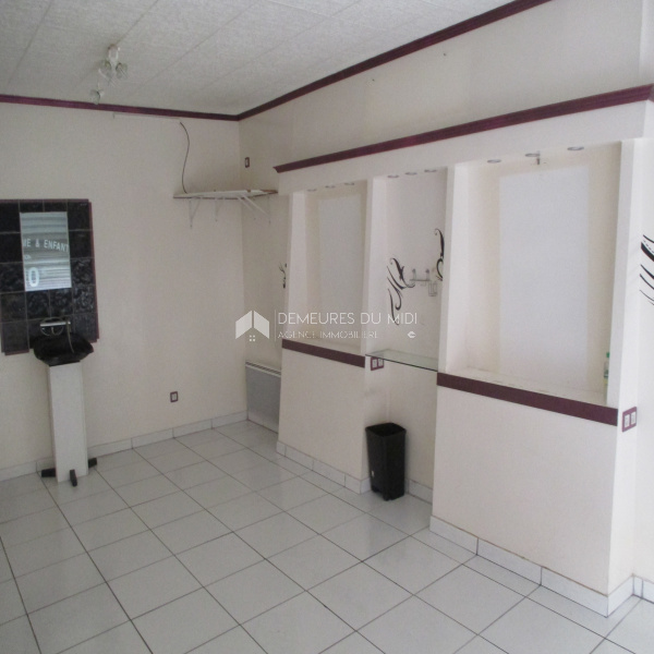 Vente Immobilier Professionnel Local commercial Clermont-l'Hérault 34800
