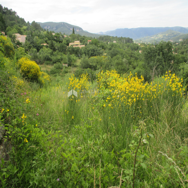 Offres de vente Terrain Olmet-et-Villecun 34700