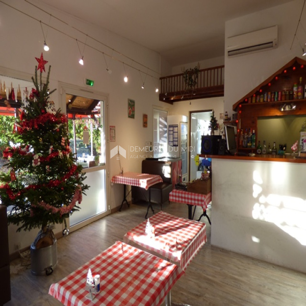 Vente Immobilier Professionnel Local commercial Quissac 30260